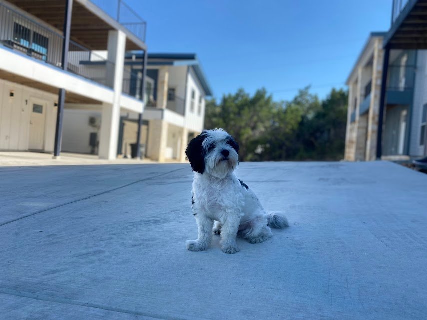 Furry Friends Welcome: Enjoy Canyon Lake Vacation Rentals – House Rentals in Canyon Lake, Texas | Explore Now!"