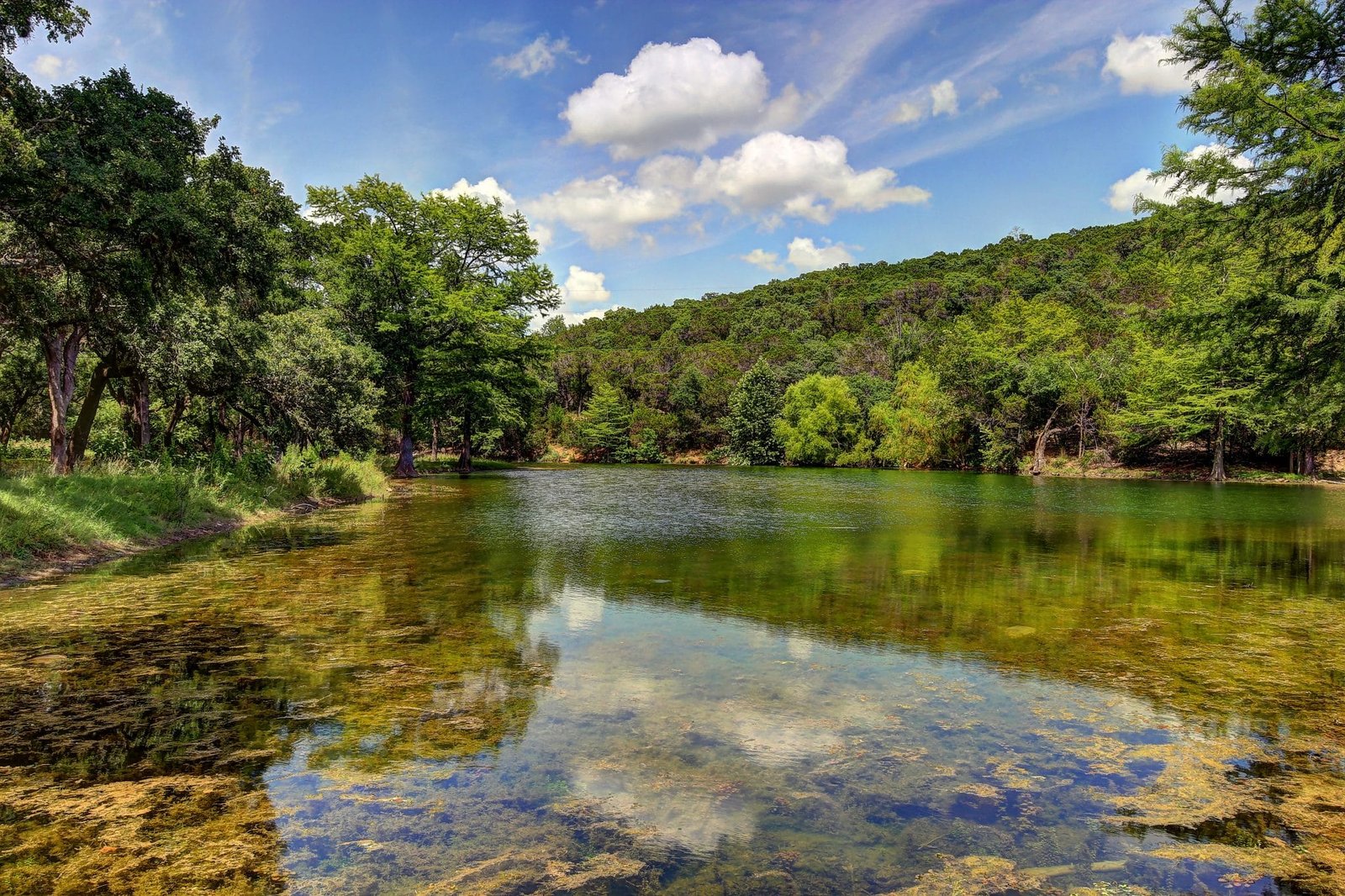 Serene Natural Beauty at The Preserve: A Top Choice for Wedding Venues in Canyon Lake