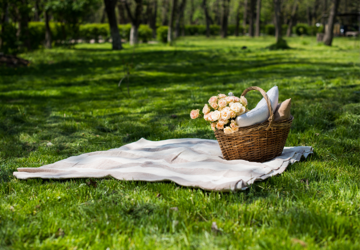 A serene picnic setup with a wicker basket and fresh roses on a blanket, surrounded by lush greenery, showcasing the relaxing outdoor spaces available when you book an Airbnb near you with vacation rentals that include hot tubs